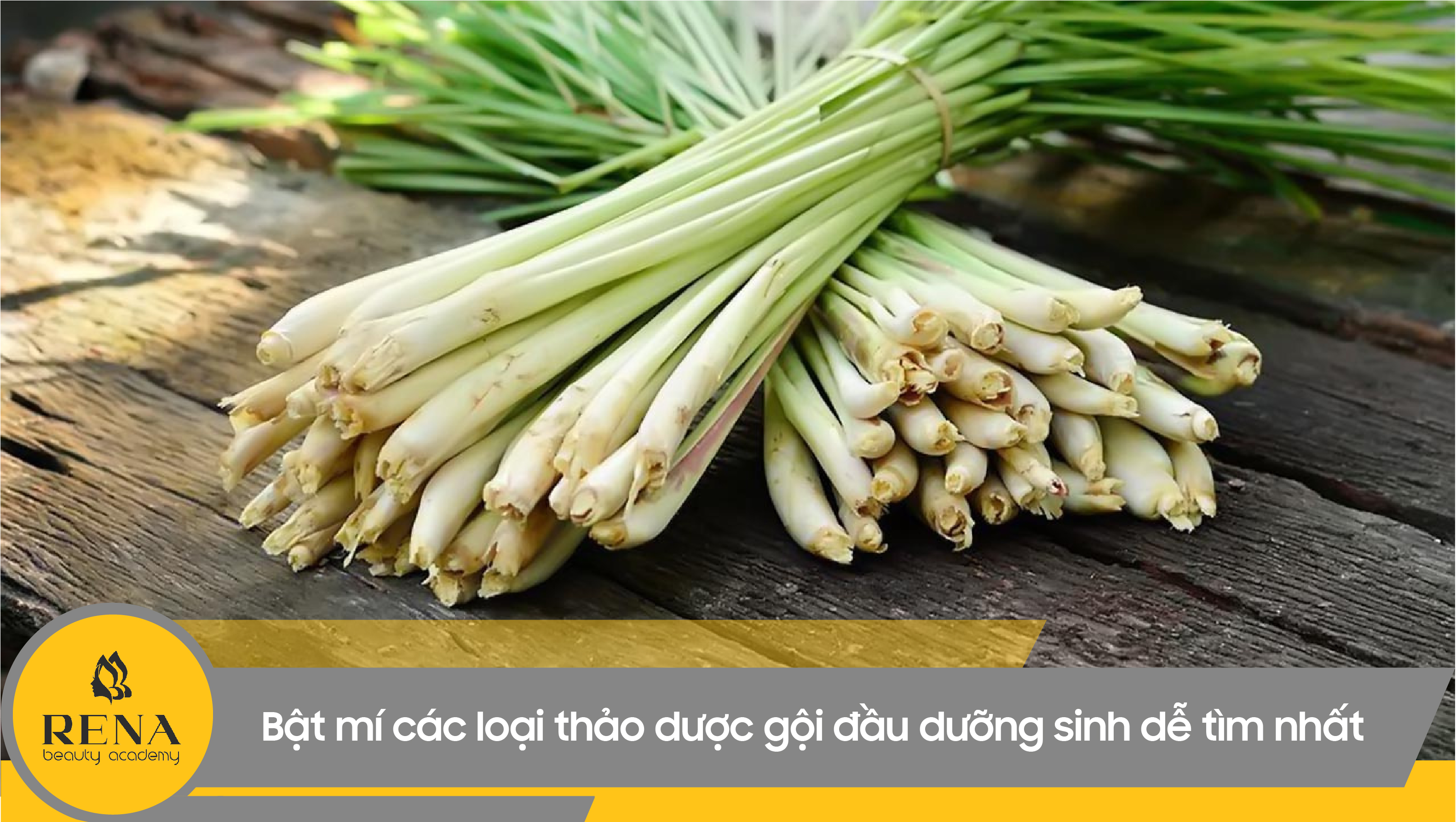 Bật mí các loại thảo dược gội đầu dưỡng sinh dễ tìm nhất