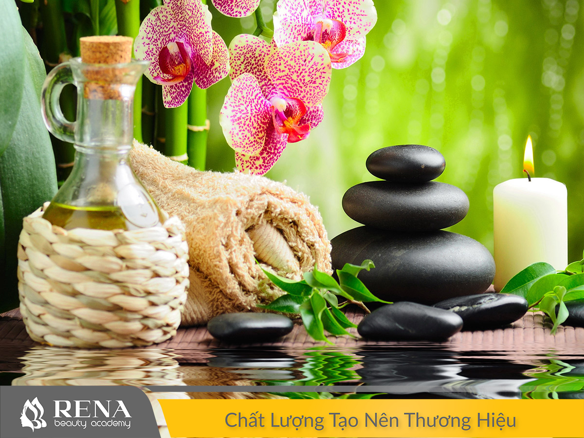 Những loại tinh dầu thường dùng trong Spa và cuộc sống hằng ngày